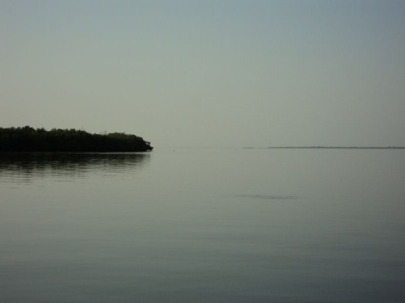 Gambia River