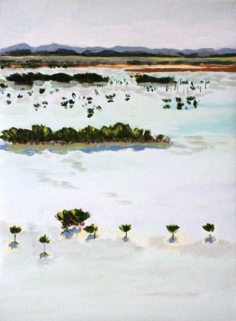 Mangrove Lake